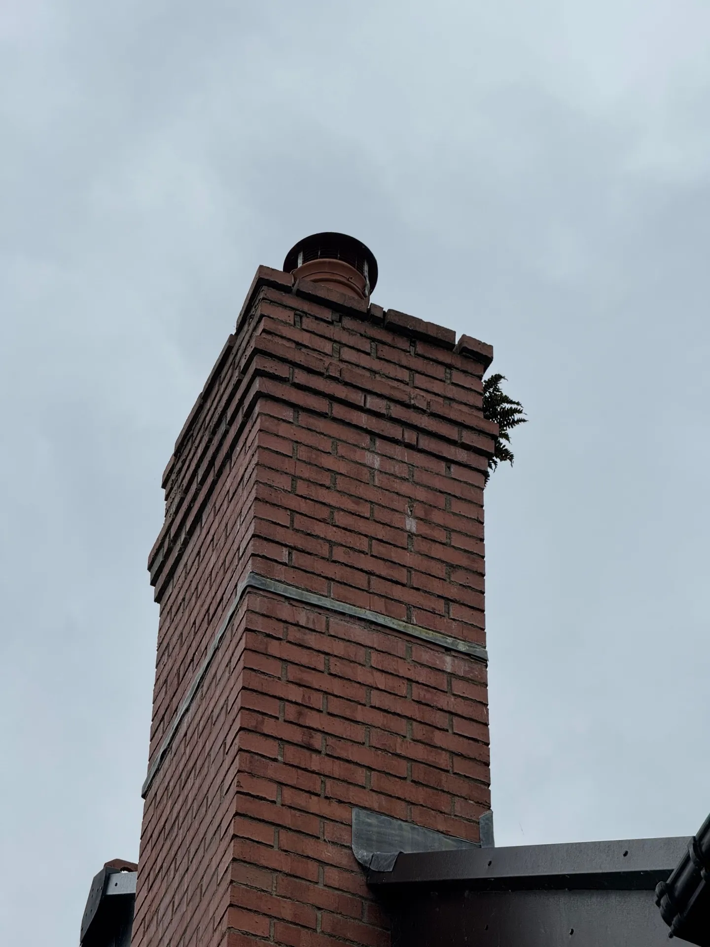 Job image 1
