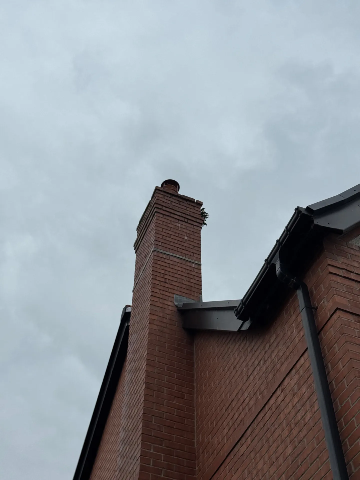 Job image 1